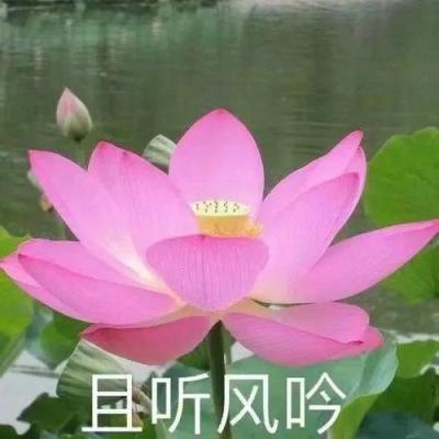 疫情催生“最宅”春节假期 彩电企业刮起“社交风”